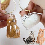 Load image into Gallery viewer, Pet Hair Storage Box - Transparent Keepsake Container for Cat Fur Memorial