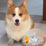 Load image into Gallery viewer, Pet Hair Storage Box - Transparent Keepsake Container for Cat Fur Memorial