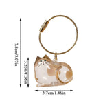 Load image into Gallery viewer, Pet Hair Storage Box - Transparent Keepsake Container Handmade Design