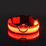Load image into Gallery viewer, Nylon LED Dog Collar – Glow-in-the-Dark Safety Light for Night Walks