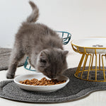 Load image into Gallery viewer, Whisker-Friendly Cat Bowl - Wide Ceramic Anti-Tipping Food Bowl