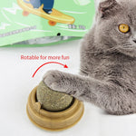 Load image into Gallery viewer, Natural Catnip Wall Ball Toy – Healthy Catnip Treats for Digestion & Play