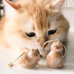 Load image into Gallery viewer, Pet Hair Storage Box - Transparent Keepsake Container for Cat Fur Memorial