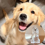 Load image into Gallery viewer, Pet Hair Storage Box - Transparent Keepsake Container for Cat Fur Memorial