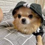 Load image into Gallery viewer, Adidog Winter Dog Hoodie - Warm Coat for Medium Large Dogs