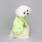 Load image into Gallery viewer, Small Dog Winter Hoodie - Cute Print Costume for Cats & Puppies
