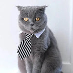 Load image into Gallery viewer, Adjustable Pet Bow Tie - Formal Collar for Small Dogs & Cats