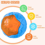 Load image into Gallery viewer, Rubber Dog Chew Toys Bite Resistant Squeaky Training Interactive Large Dog Toys