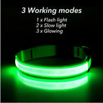 Load image into Gallery viewer, USB Rechargeable LED Dog Collar – Adjustable Glowing Safety Light for Pets