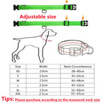 Load image into Gallery viewer, USB Rechargeable LED Dog Collar – Adjustable Glowing Safety Light for Pets