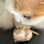 Load image into Gallery viewer, Pet Hair Storage Box - Transparent Keepsake Container Handmade Design