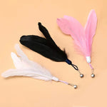 Load image into Gallery viewer, Interactive Cat Teaser Wand - Bell &amp; Feather Toy with Suction Cup
