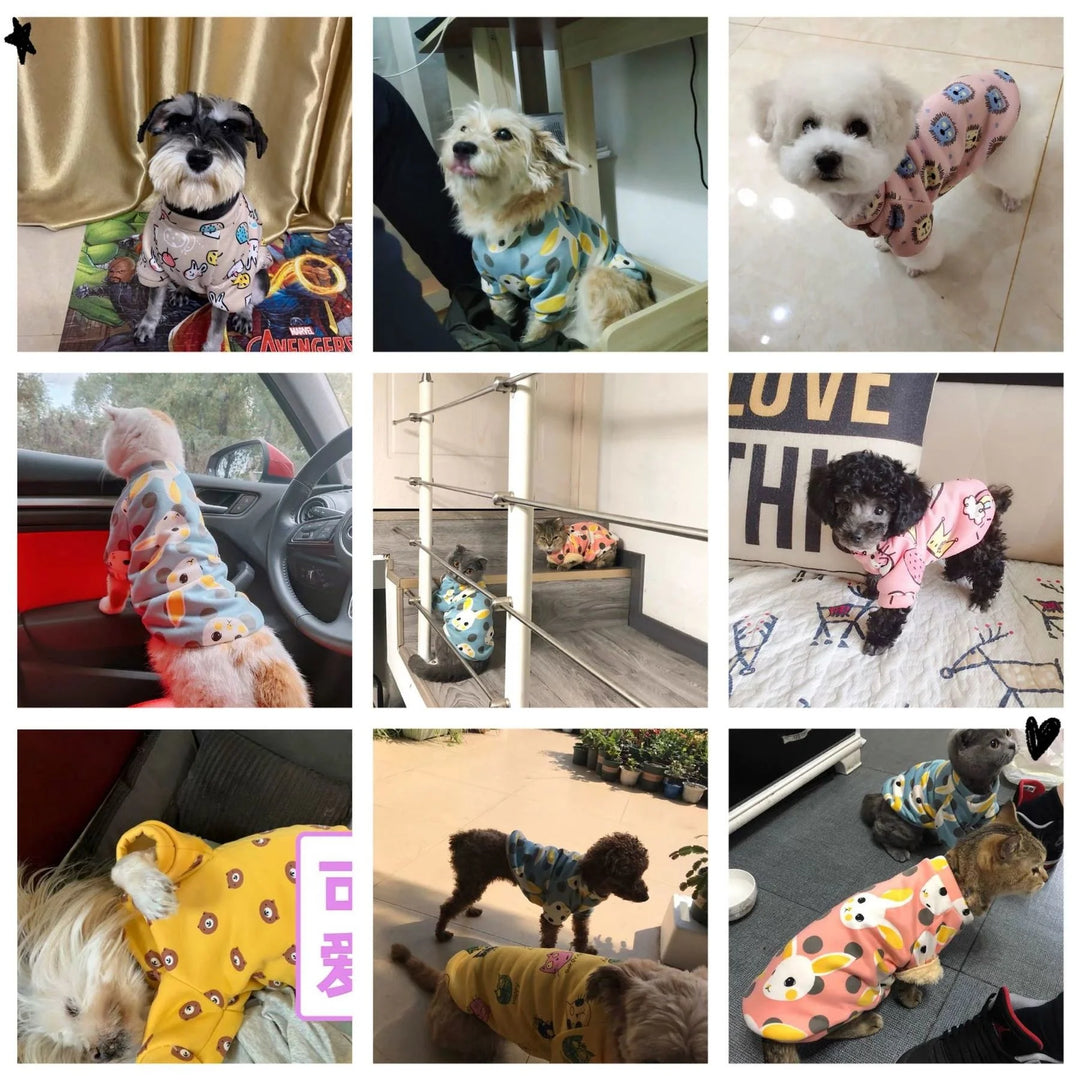 Small Dog Winter Hoodie - Cute Print Costume for Cats & Puppies