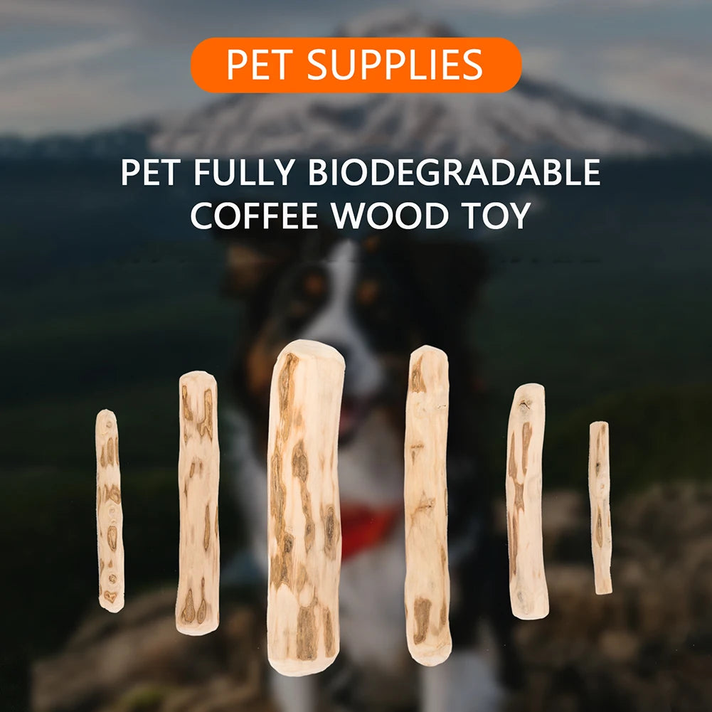 Natural Coffee Wood Dog Chew Stick – Long-Lasting Molar Toy for Indoor & Outdoor