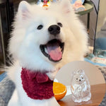 Load image into Gallery viewer, Pet Hair Storage Box - Transparent Keepsake Container for Cat Fur Memorial
