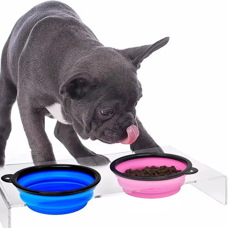 Folding Portable Silicone Dog Feeder Bowl 2-in-1 Pet Food & Water Dispenser with Carabiner
