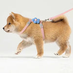 Load image into Gallery viewer, Cat&amp; Dog Harness and Leash Set - Adjustable Breathable Pet Harness
