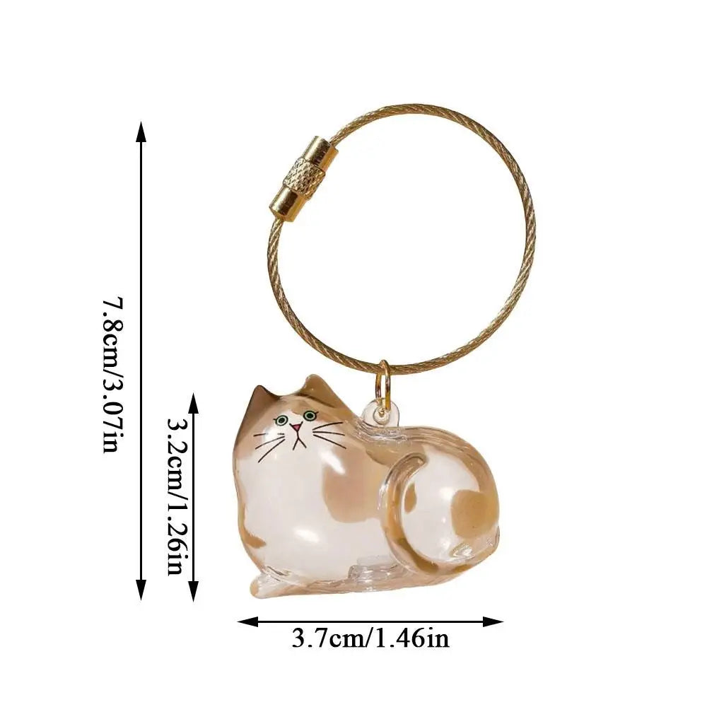 Pet Hair Storage Box - Transparent Keepsake Container Handmade Design