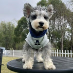 Load image into Gallery viewer, Fashion Dog Hoodie - Winter Warm Sweatshirt for Small Medium Dogs
