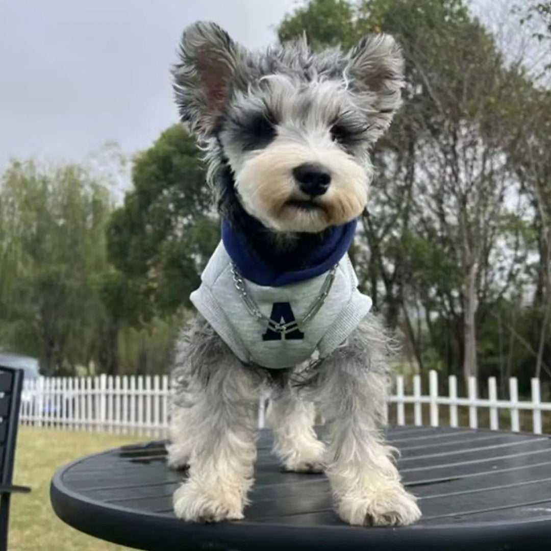 Fashion Dog Hoodie - Winter Warm Sweatshirt for Small Medium Dogs