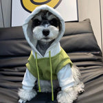 Load image into Gallery viewer, Dog Winter Hooded Sweatshirt - Warm Coat for Small Medium Dogs
