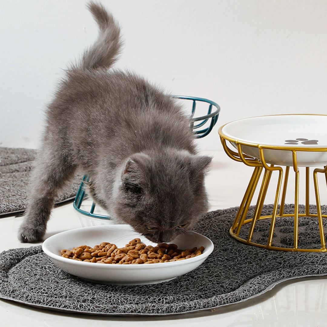 Whisker-Friendly Cat Bowl - Wide Ceramic Anti-Tipping Food Bowl