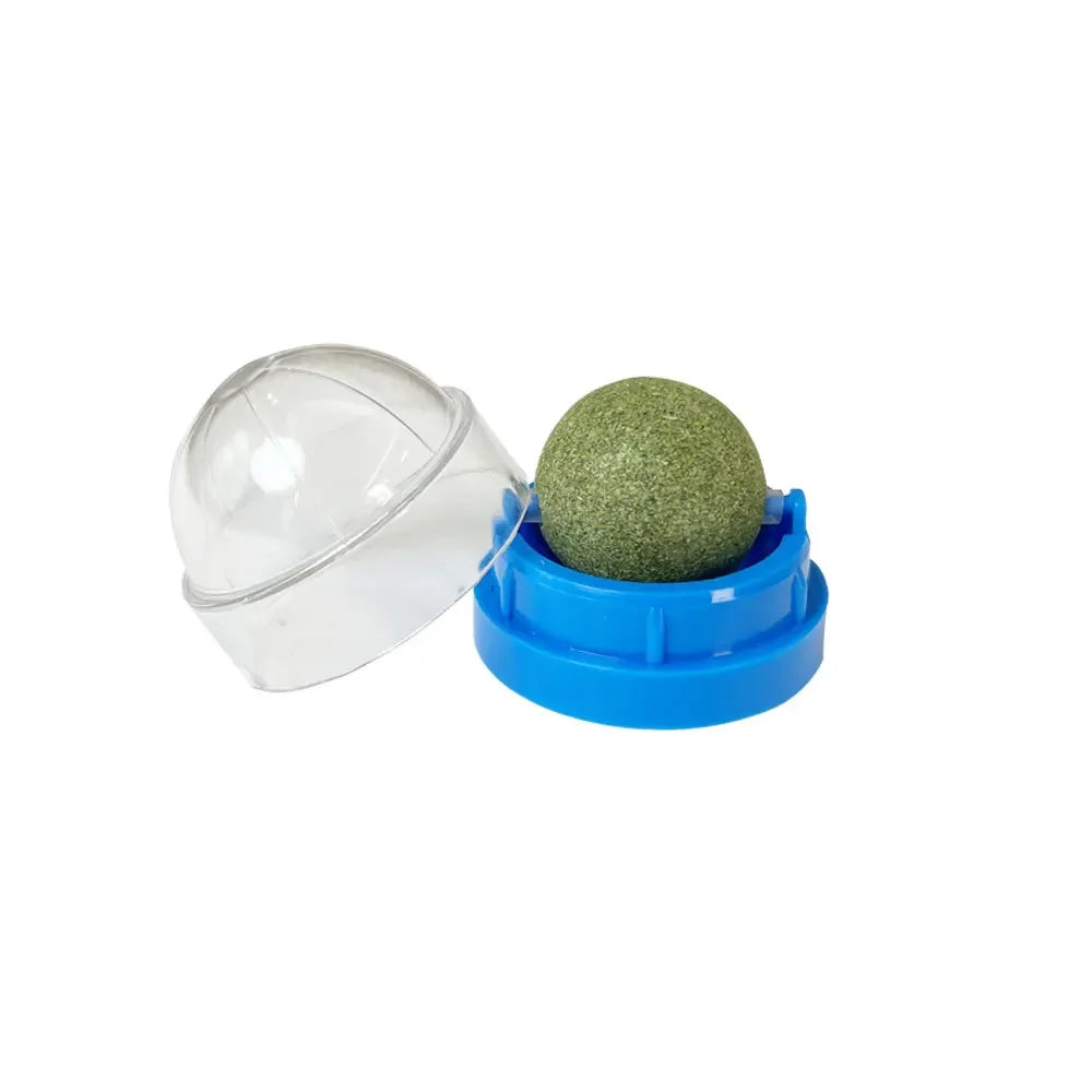 Natural Catnip Wall Ball Toy – Healthy Catnip Treats for Digestion & Play