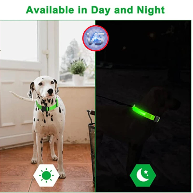 USB Rechargeable LED Dog Collar – Adjustable Glowing Safety Light for Pets