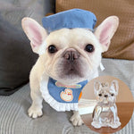 Load image into Gallery viewer, Pet Hair Storage Box - Transparent Keepsake Container for Cat Fur Memorial
