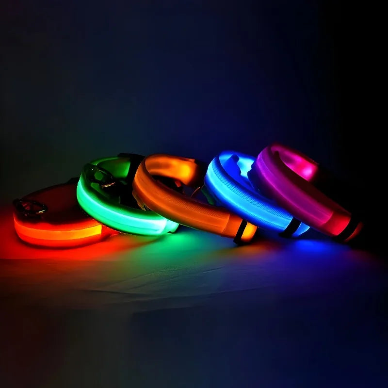 Nylon LED Dog Collar – Glow-in-the-Dark Safety Light for Night Walks