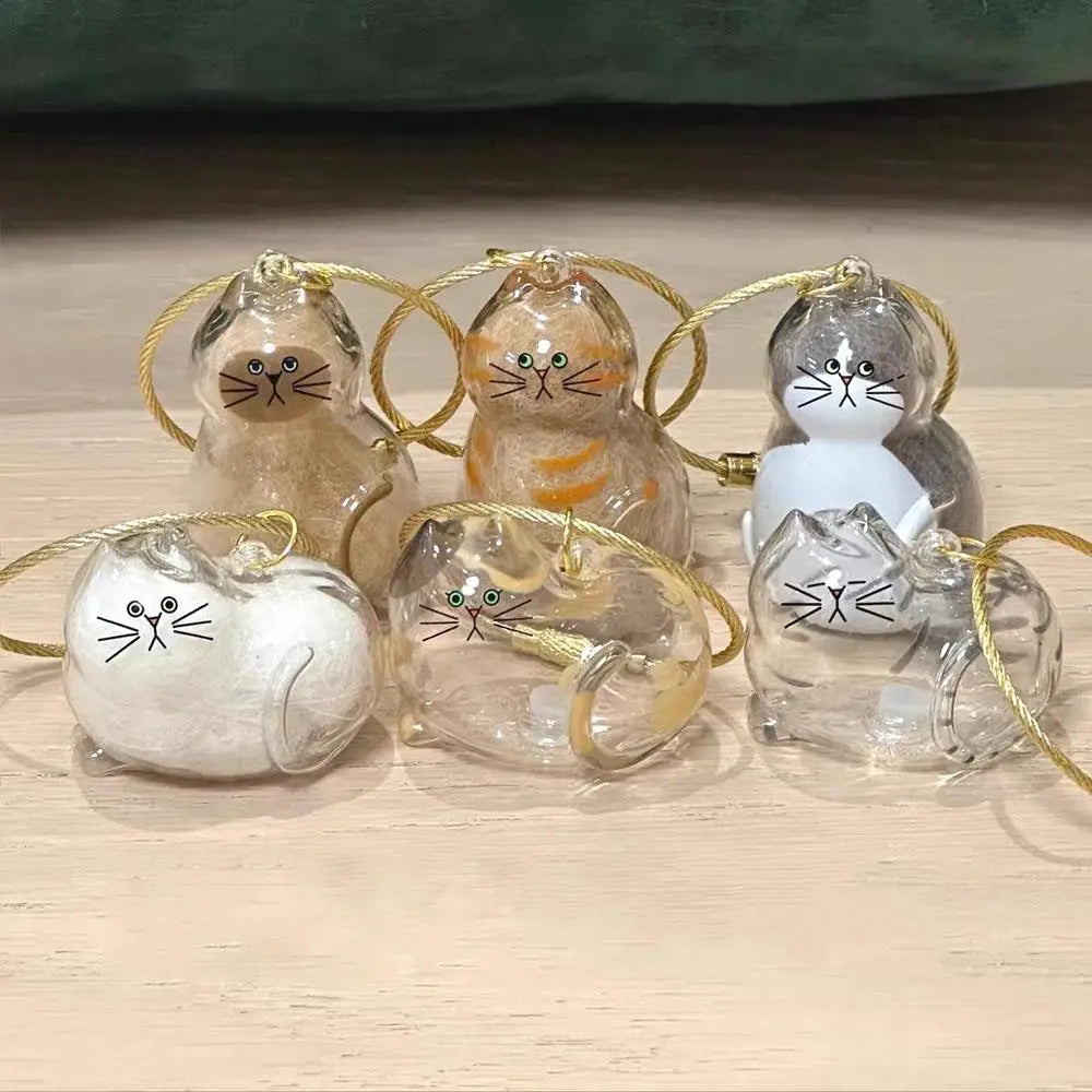 Pet Hair Storage Box - Transparent Keepsake Container for Cat Fur Memorial