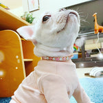 Load image into Gallery viewer, Luxury Pearl Rhinestone Cat &amp; Puppy Necklace Collar for Small Dogs &amp; Cats
