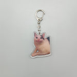 Load image into Gallery viewer, Women&#39;s Bag Pendant - Cute Two Cats Talking Meme Keychain Gift
