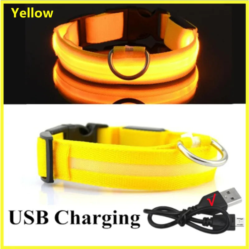 USB Rechargeable LED Dog Collar – Adjustable Glowing Safety Light for Pets