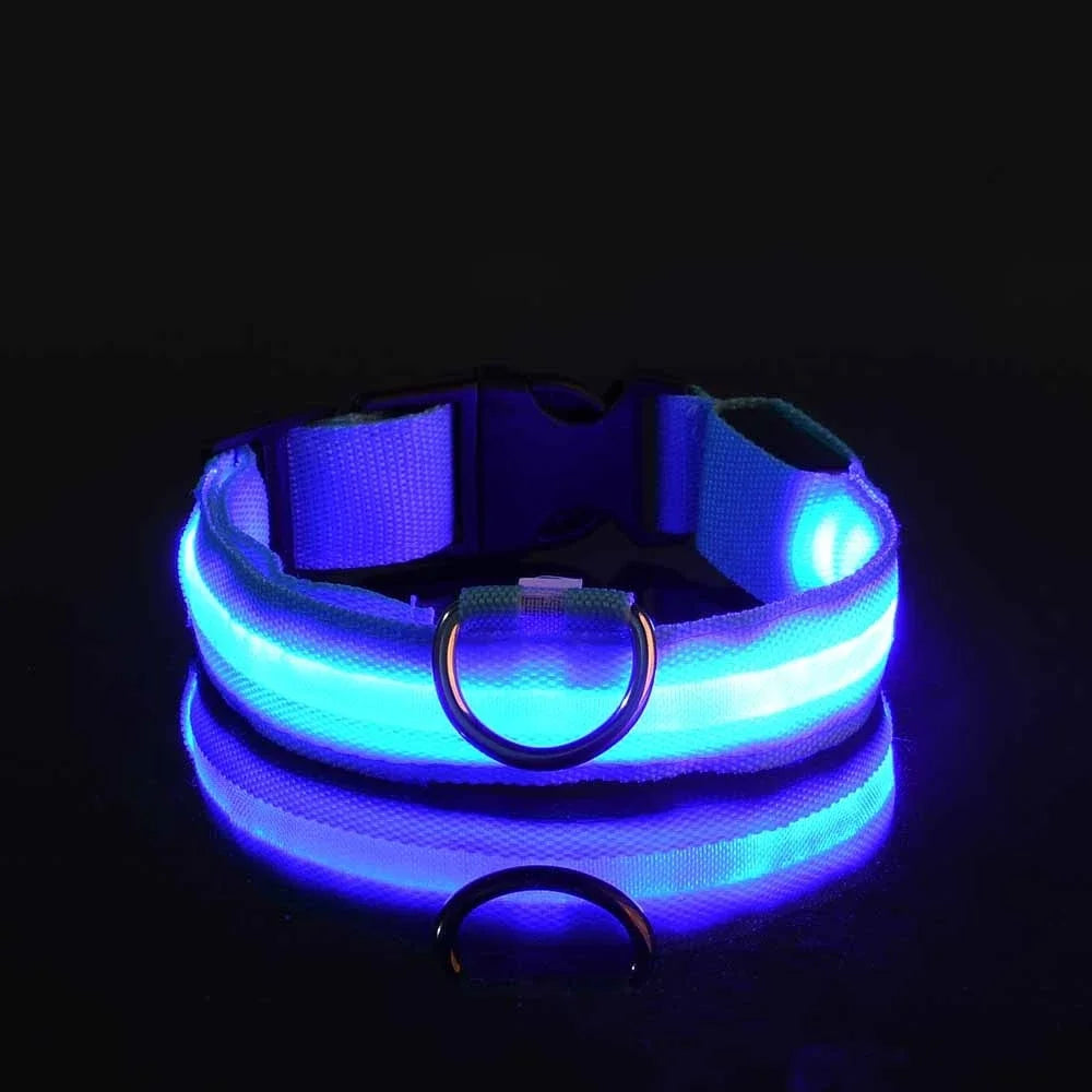 Nylon LED Dog Collar – Glow-in-the-Dark Safety Light for Night Walks