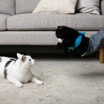 Load image into Gallery viewer, Interactive Cat Wrestling Gloves – Catnip Pet Toy Puppets for Playful Cats
