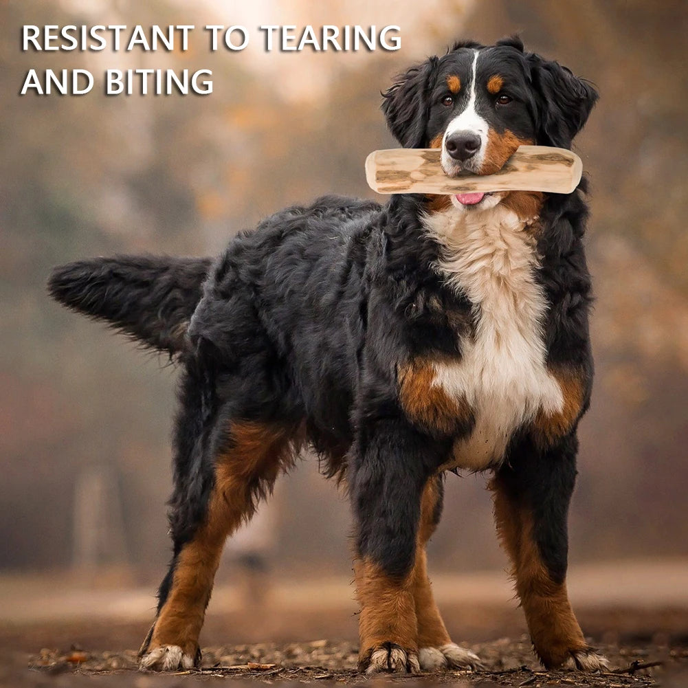 Natural Coffee Wood Dog Chew Stick – Long-Lasting Molar Toy for Indoor & Outdoor