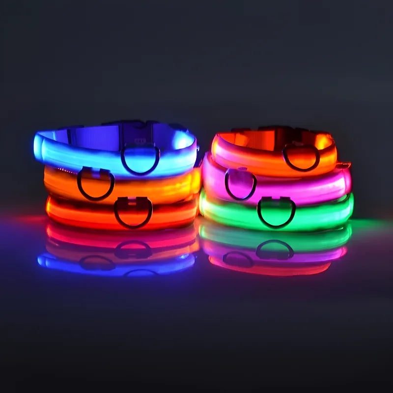 Nylon LED Dog Collar – Glow-in-the-Dark Safety Light for Night Walks