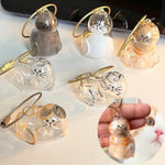 Load image into Gallery viewer, Pet Hair Storage Box - Transparent Keepsake Container for Cat Fur Memorial
