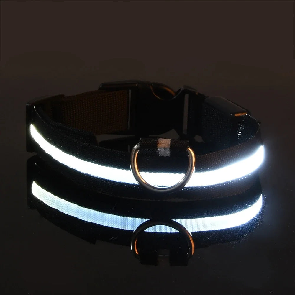 Nylon LED Dog Collar – Glow-in-the-Dark Safety Light for Night Walks