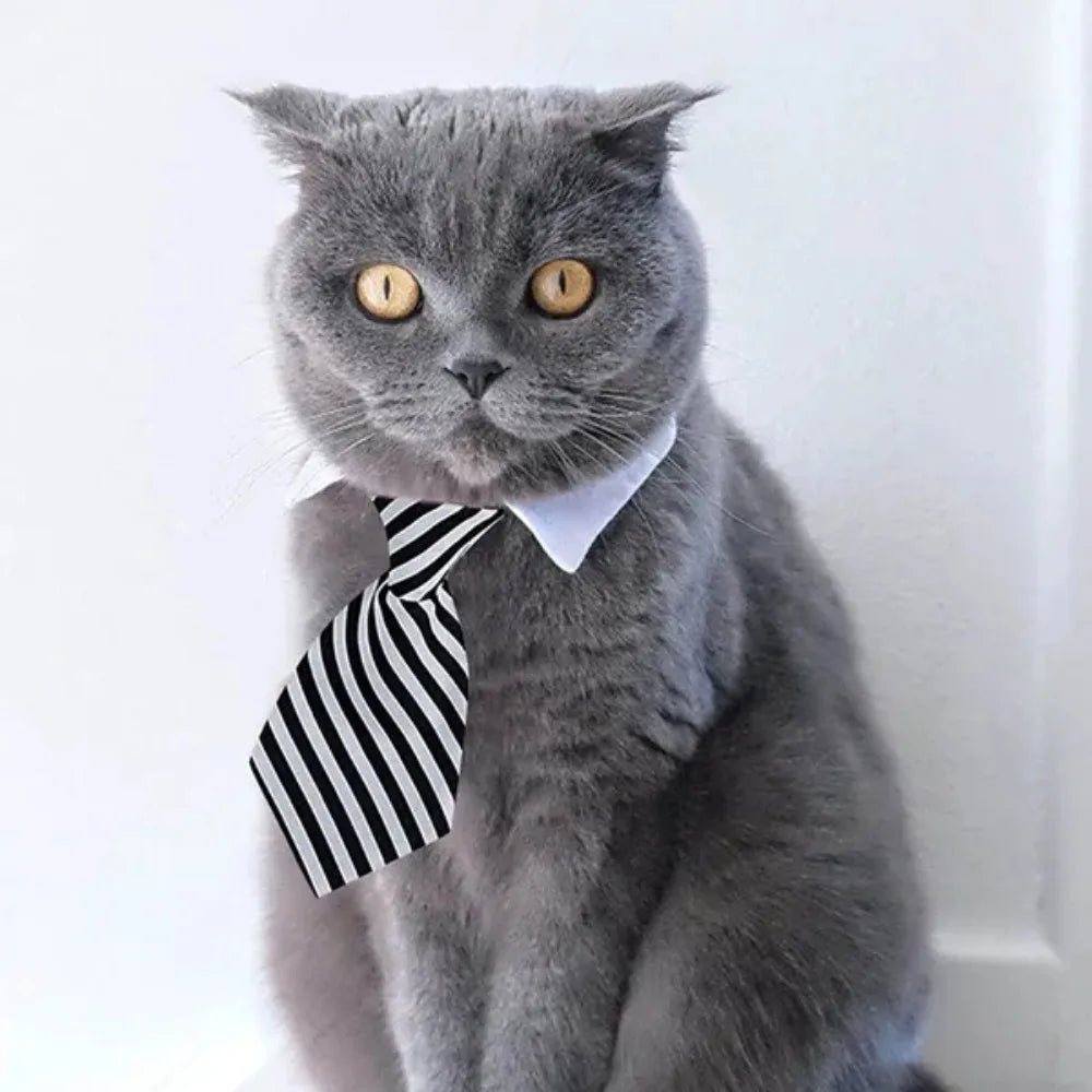 Adjustable Pet Bow Tie - Formal Collar for Small Dogs & Cats