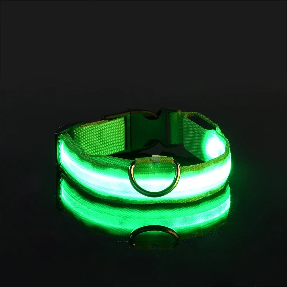 Nylon LED Dog Collar – Glow-in-the-Dark Safety Light for Night Walks