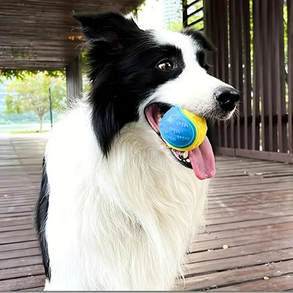 Durable Dog Chew Ball Toy Interactive Grinding Teeth Pet Supplies