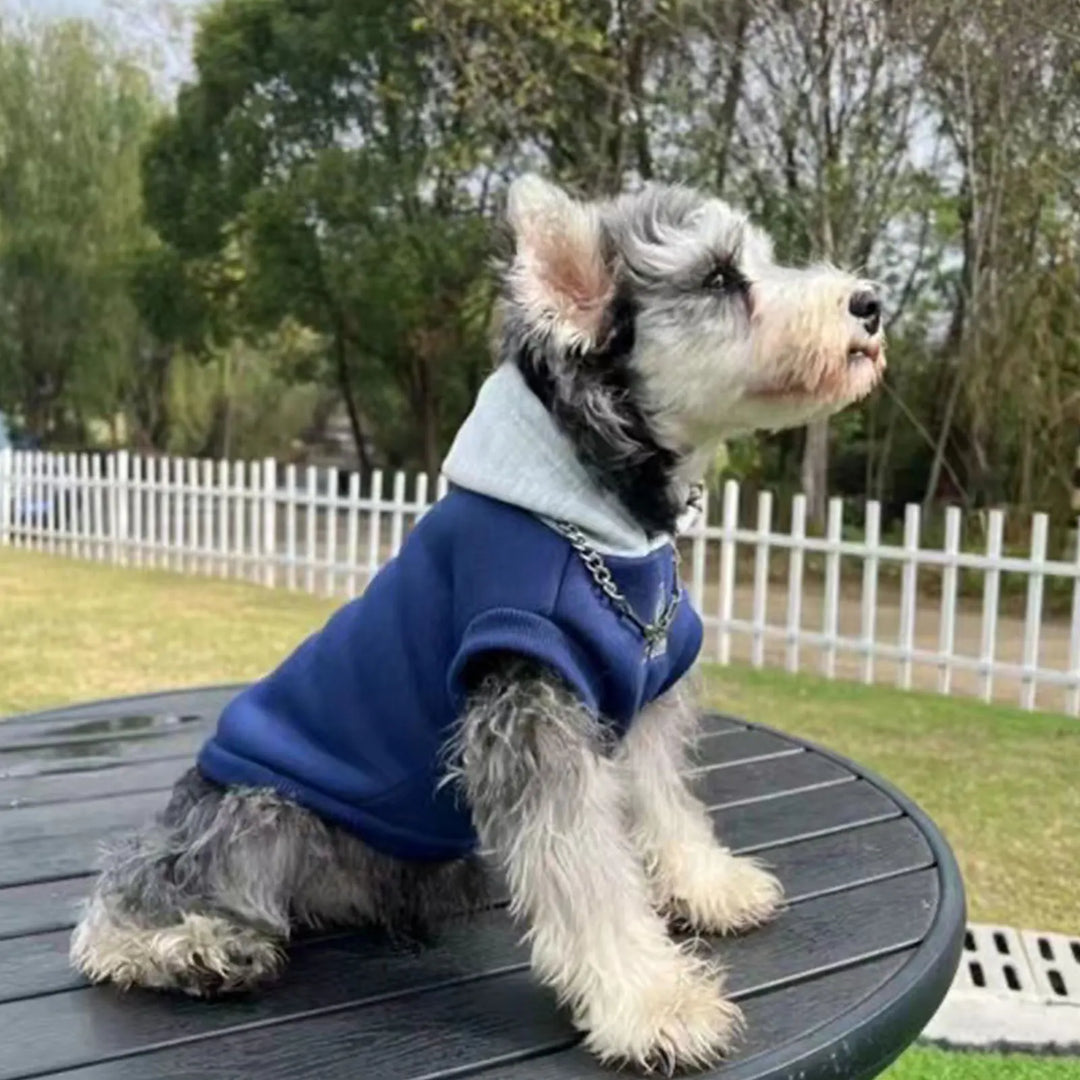 Fashion Dog Hoodie - Winter Warm Sweatshirt for Small Medium Dogs