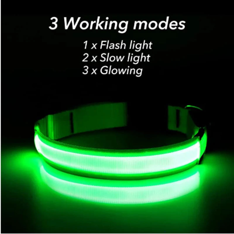 USB Rechargeable LED Dog Collar – Adjustable Glowing Safety Light for Pets