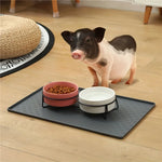 Load image into Gallery viewer, Waterproof Silicone Pet Placemat – Dog &amp; Cat Feeding Bowl Mat
