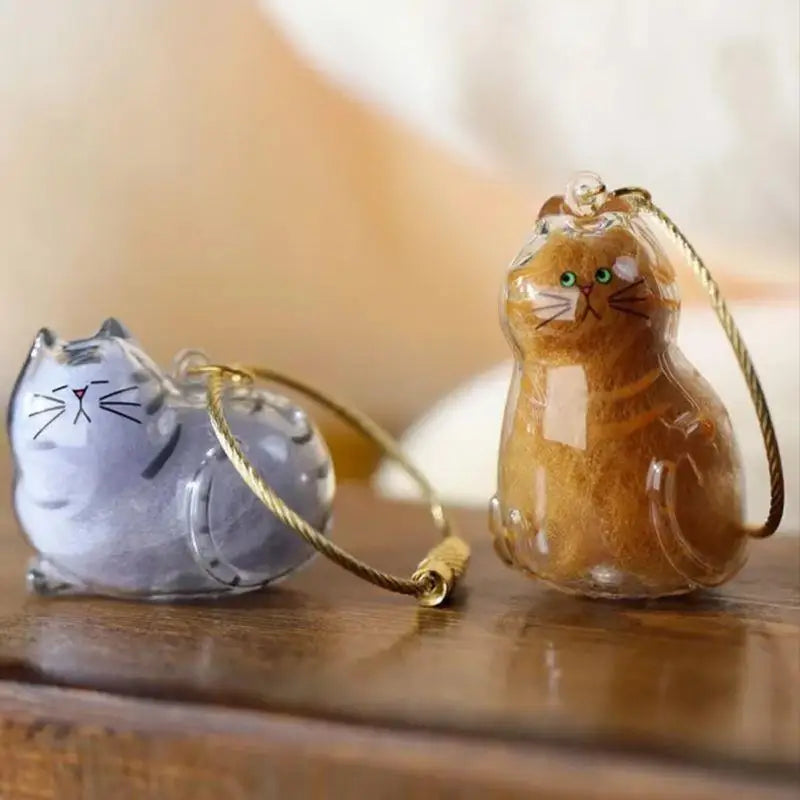 Pet Hair Storage Box - Transparent Keepsake Container Handmade Design