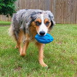 Load image into Gallery viewer, Squeaky Rubber Dog Toy Chew Ball Teeth Cleaning Durable Pet Toy for Medium &amp; Large Dogs
