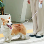 Load image into Gallery viewer, Retractable Dog Leash with LED Light – Durable Night Walking
