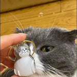 Load image into Gallery viewer, Pet Hair Storage Box - Transparent Keepsake Container Handmade Design
